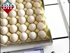 Küçük Yumurta Mürekkep Jeti Yazıcısı Xy Eksenli Akıllı Yumurta Mürekkep Jeti Yazıcısı Tam Otomatik