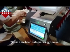 Altı nozelli otomatik yumurta spreyi kodlama makinesi baskı